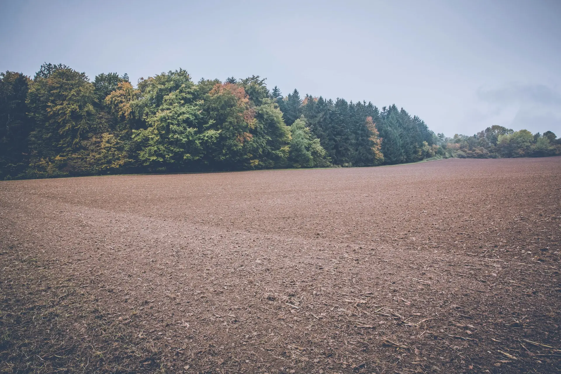 Free stock photo of agriculture, calm, clouds